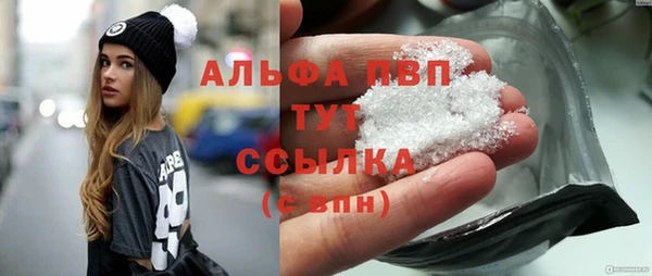 гидра Алексеевка