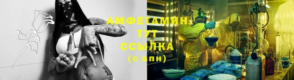 кокс Арсеньев