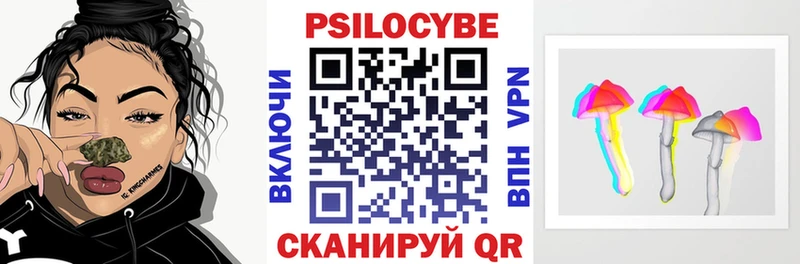 Псилоцибиновые грибы прущие грибы  Купить закладки  Кольчугино 